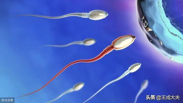 中医世家活力补肾方，男性备孕期，精子活力不高，怎么调理能怀上宝宝