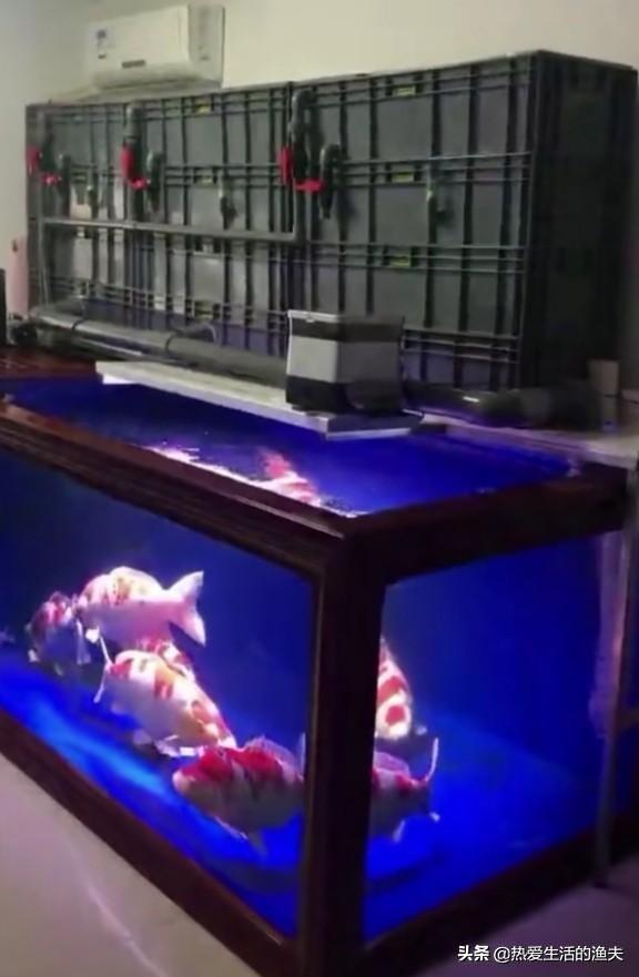 怎样自制金鱼缸过滤器:上滤带盖的水族箱，过滤效果不好，请问如何改进？