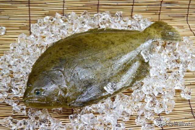 海鱼的做法大全:渤海湾的海鲜都有什么，海鲜都有什么做法？