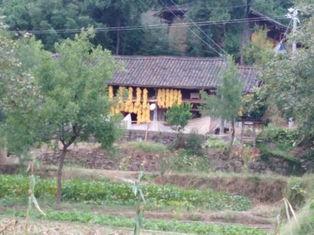 冬季农民在家不能种地,都在干什么？