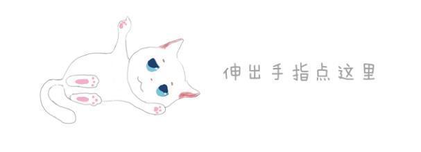 胖狗狗坐飞机旅行:可以告诉我怎样携带宠物狗上飞机么？