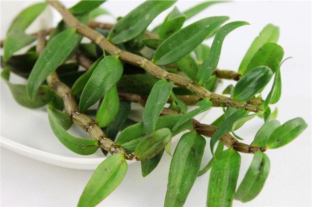 铁皮石斛的功效与作用,铁皮石斛真的有那么神奇吗？有什么功效？