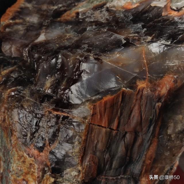 最贵的树化玉原石图片,什么树的化石比较有价值？