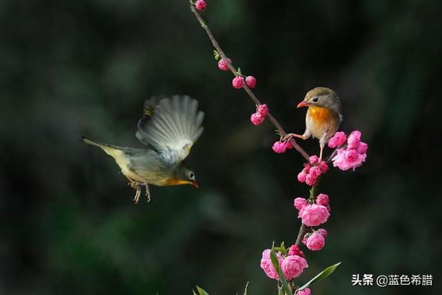 诗情画意微信图片:作为摄影者，你有没有用一诗一画创作过摄影作品？