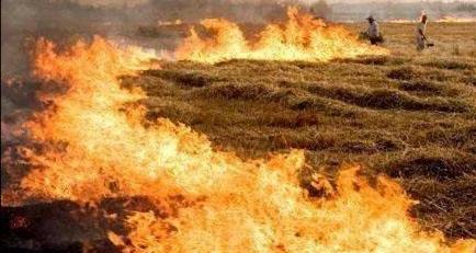 河南太康一周要闻,村民办丧事，周口400亩麦田起火，预估损失40万，怎么回事