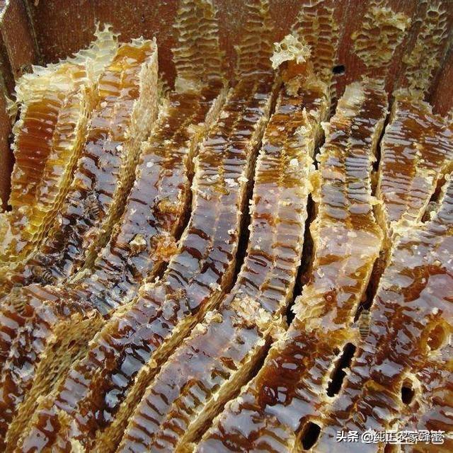 椴树蜜多少钱一斤，成熟四十二度以上的蜂蜜，和巢脾封盖蜂蜜多少钱一斤价格好