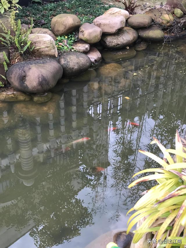 家住别墅是什么样的感觉？插图113