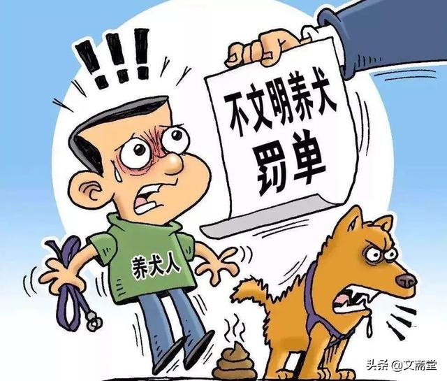 襄阳宠物吧:襄阳有哪些宠物医院？具体地址是在哪？
