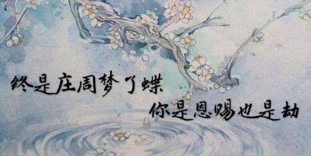 头条问答 - "终是庄周梦了蝶"下一句是什么?表达的什么意思?