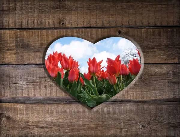 头条问答 人活着为了什么呀 我爱的人名花有主 爱我的人惨不忍睹 113个回答