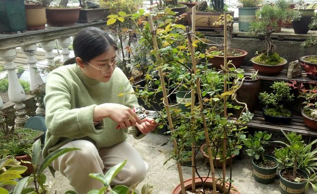 生活简单而又精致的句子:生活需要仪式感，把平淡生活过得精致，你怎么看？(生活需要仪式感下一句怎么接)