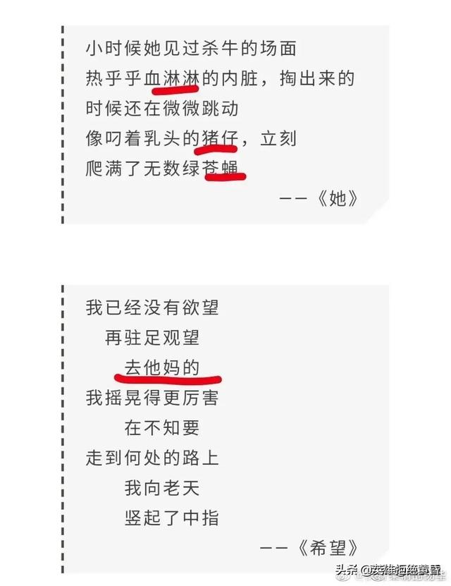 是不是要感谢贾浅浅，一夜间活跃了诗坛？