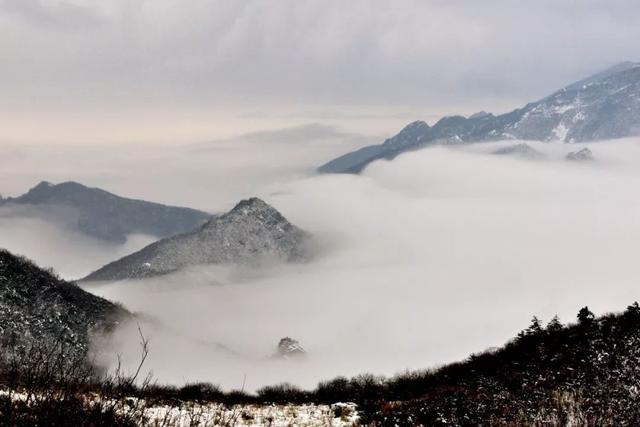 鬼看到灯光会入屋吗,走夜路，你有没有遇到过特别怪异的人和事？