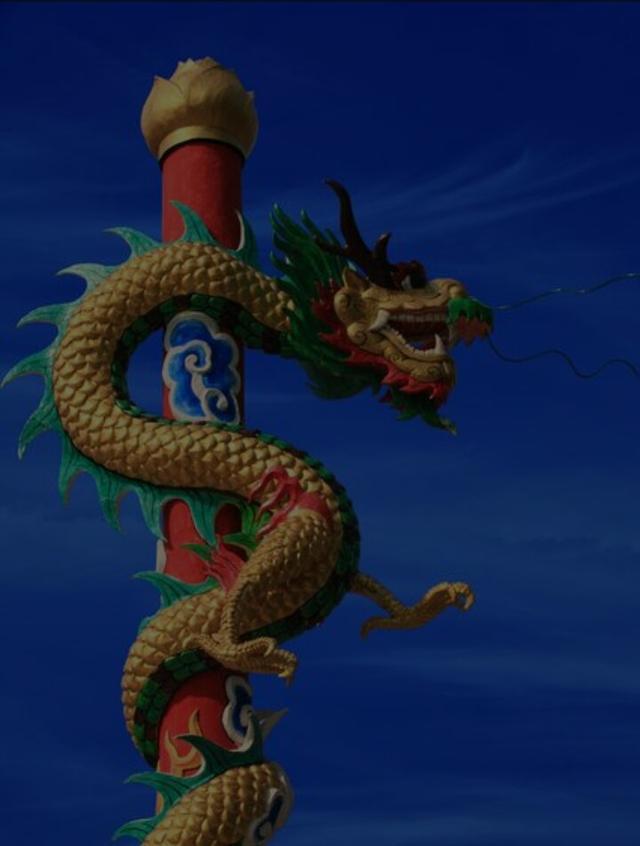 飞龙 真实照片，古代中国人崇拜的龙真实存在吗