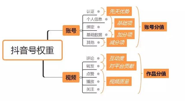 抖音有权重吗？什么是抖音的权重？如何体现抖音的权重？