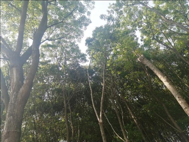 五一，三天假期去哪旅游好呢？