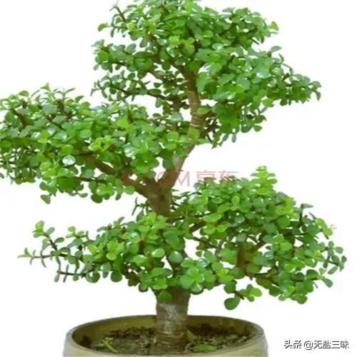 年龄大了，没有<a href=https://maguai.com/list/256-0-0.html target=_blank class=infotextkey>朋友圈</a>了，和老公关系不好，怎么熬这漫长的日子(进不了老公的微信<a href=https://maguai.com/list/256-0-0.html target=_blank class=infotextkey>朋友圈</a>)