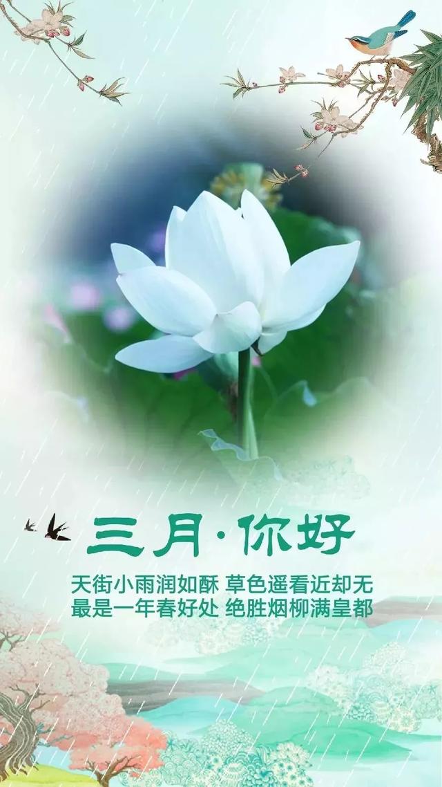 2月再见3月你好海报配图卡通图片大全，适合三月发朋友圈的句子文案