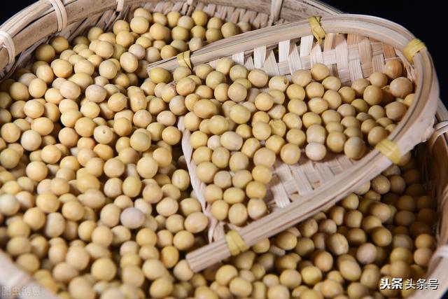 什么食品可以放10年以上还可以吃？插图49