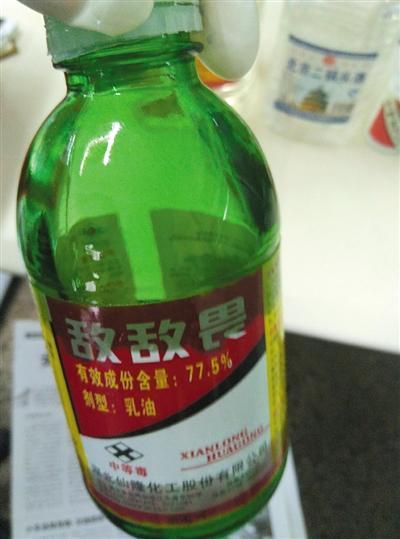 大妈放羊啃绿化带:有的村民放羊，因为没有草料，专门让羊吃村民的麦苗，你怎么看？