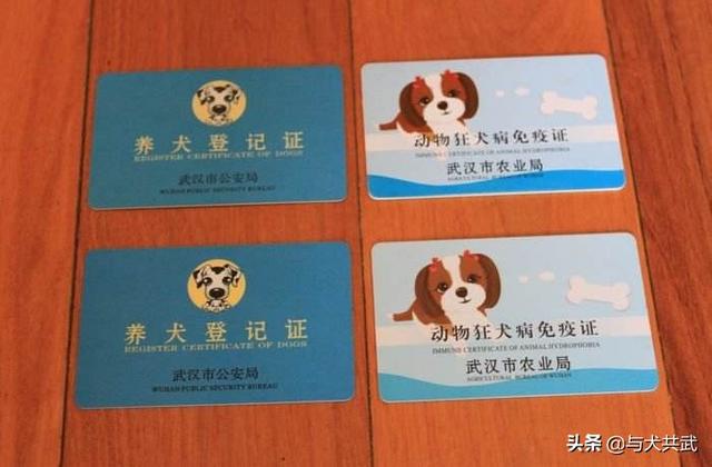 小狗饲养手册:宠物狗应该怎样养才最合适？
