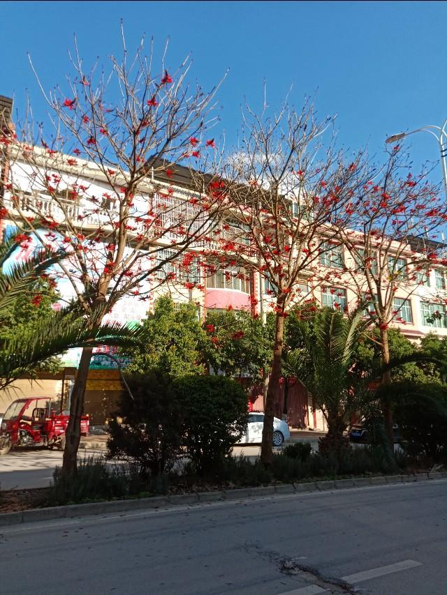 杨可凡:“婚姻中，别试图征服对方，好的夫妻，一辈子都互相迁就”怎么看