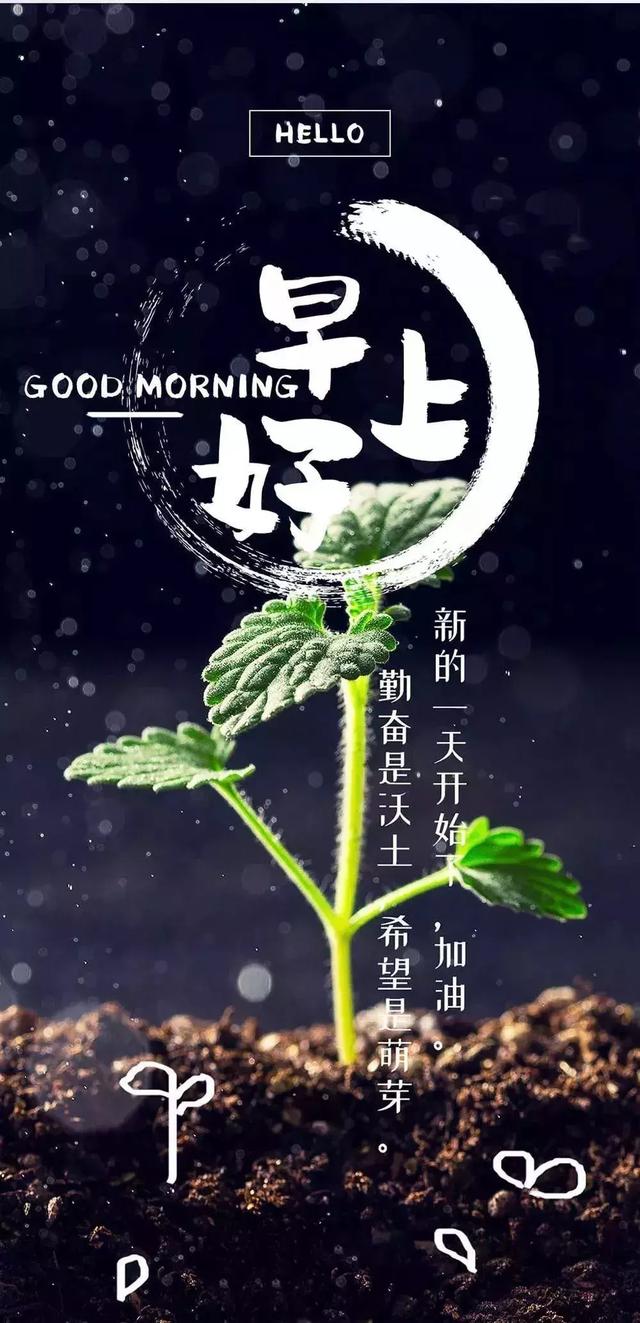 正能量早上好问候语句子：只要目标在远方，就砥砺前行吧！