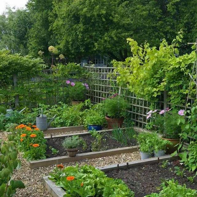 头条问答 - 一家三口可否通过别墅的花园实现自给自足,最小花园面积要