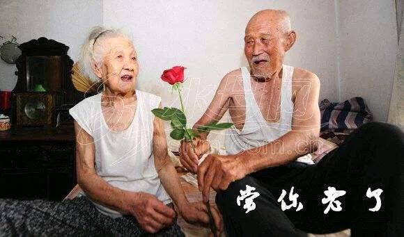 王朔老婆沈旭佳照片:老公学历比我高，经常用他的价值观教育我，贬低我，该怎么办？