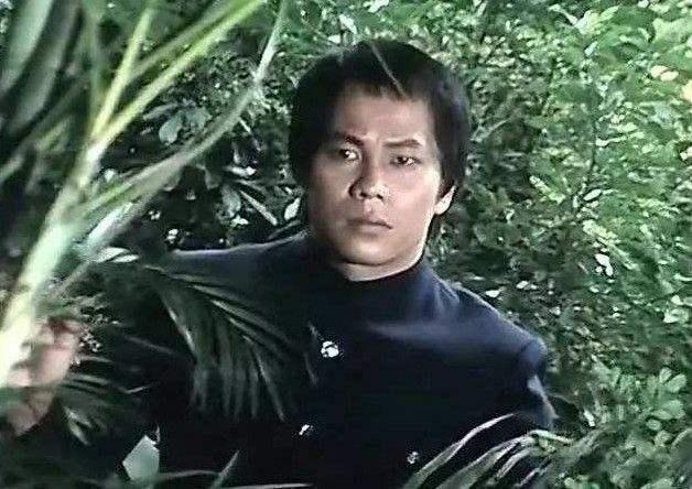 霍元甲老版:老版电视剧《霍元甲》的主要演员现状如何？
