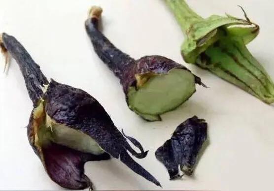 茄子把儿真的能治疗咳嗽吗？