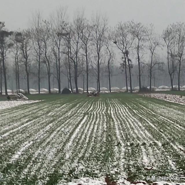寒潮的危害:为什么感觉寒潮对我国春秋季节影响大？