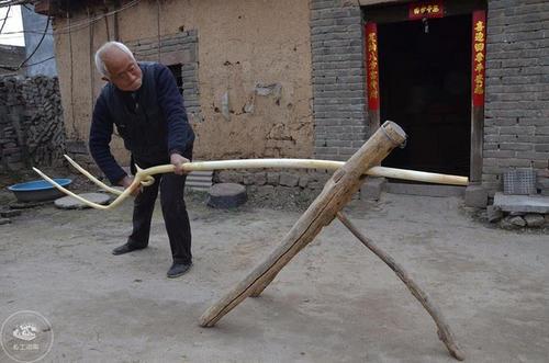 先生 肥狗 胖丫头:俗语：“五树进宅，人穷家败”五树指的啥？这句话有道理吗？