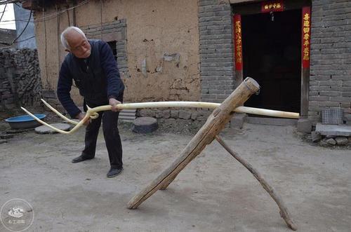 五叶梅是什么东西，俗语：“五树进宅，人穷家败”五树指的啥这句话有道理吗