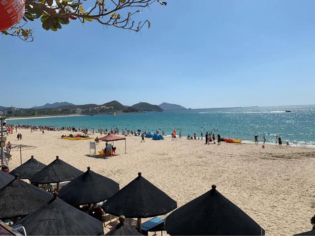 海南候鸟的意思:很多外地人在海南买房，过着候鸟的生活，能融入本地人生活吗？
