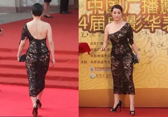 袁立透视婐照:袁立事件是公民与公权之争吗