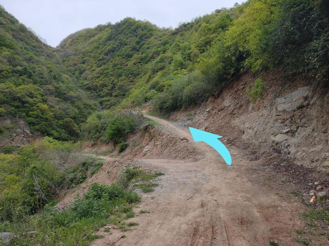 新藤惠美:地里长了许多葛根藤，怎么清除？