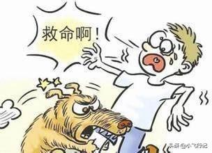 缉毒犬偷吃薯条:为什么感觉农村养土狗的越来越少？