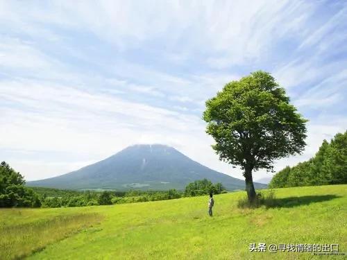 有什么与情爱无关，却触动你的句子？