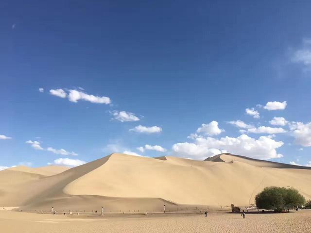 骆驼在撒哈拉沙漠雪中漫步:走在沙漠上的感受是怎样的？