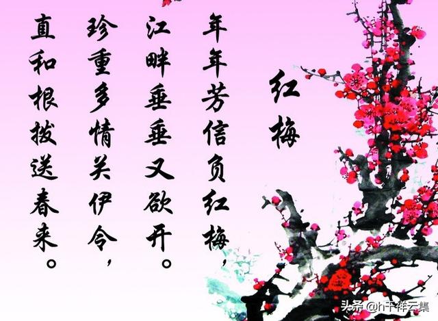 朱宣咸:梅兰竹菊的品质和相关诗句？