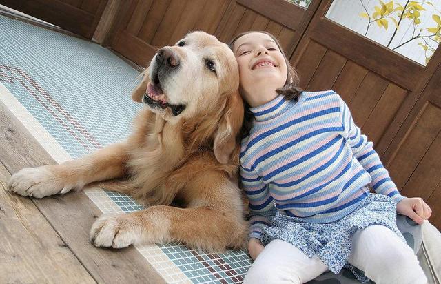 比格犬图片:孩子快上小学了一直想养只狗，哪些狗狗的性格比较温顺？