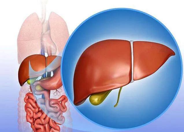 罗汉鱼腹水症状:腹部积液会有什么症状？是什么原因导致的？