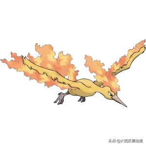 宝可梦雷电球灵异事件:精灵宝可梦里面有哪些神兽？