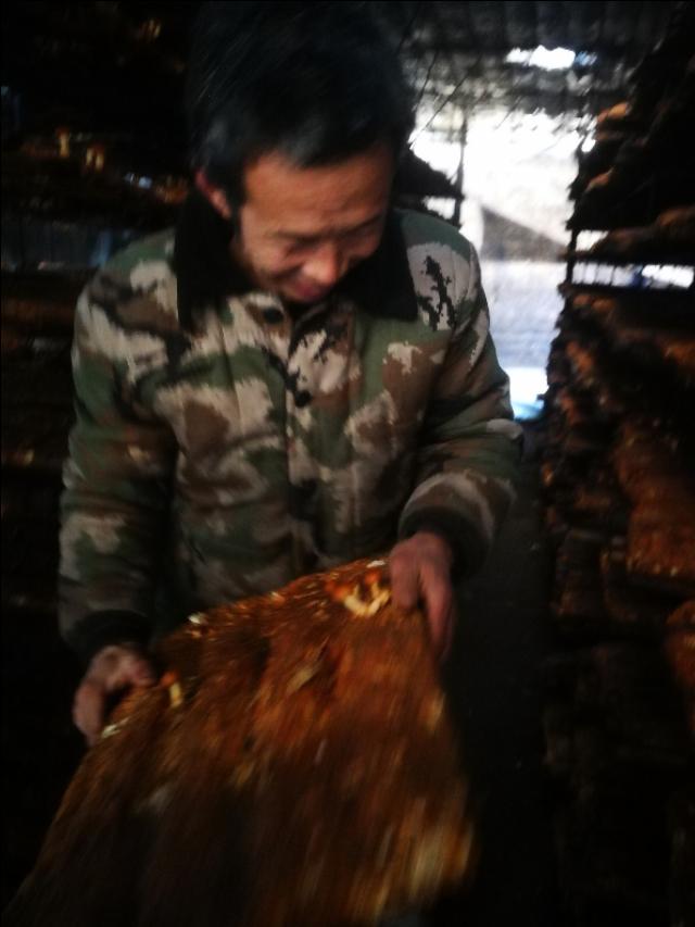 蘑菇定律,如何合理管理平菇才能收益高？