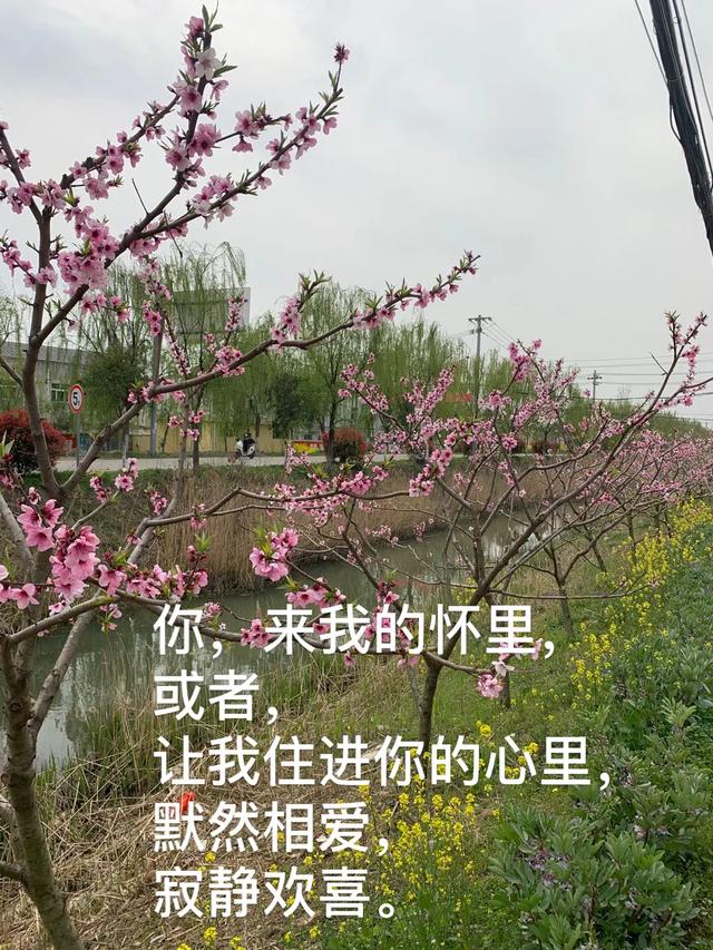 有什么值得快乐的事？