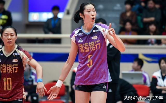 石家庄斗狗比赛:巅峰对决来袭！北京“车轮战”被宝泉化解，次战北京还有机会吗？