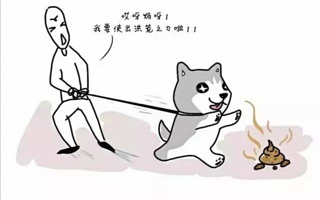 吃大便 图:吃太辣了大便出血 柯基吃自己的便便怎么办？