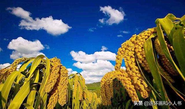 公司取什么名字好,有哪些名字起得很随性的企业？