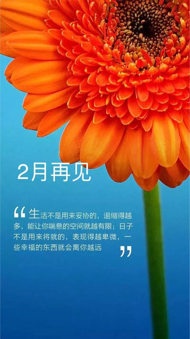 2月再见3月你好海报配图卡通图片大全，适合三月发朋友圈的句子文案
